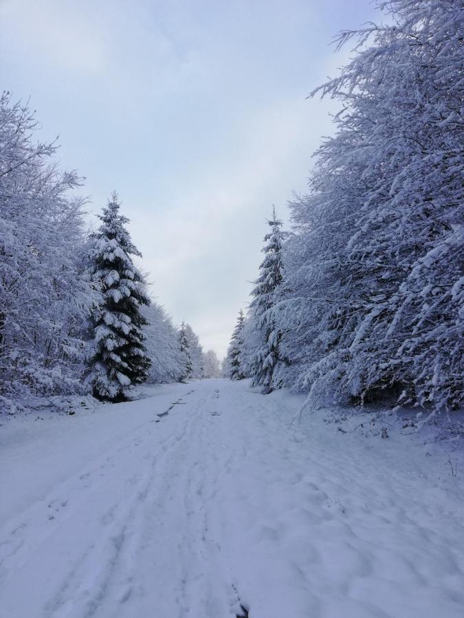 Chalet Du Praillage Спа Екстер'єр фото