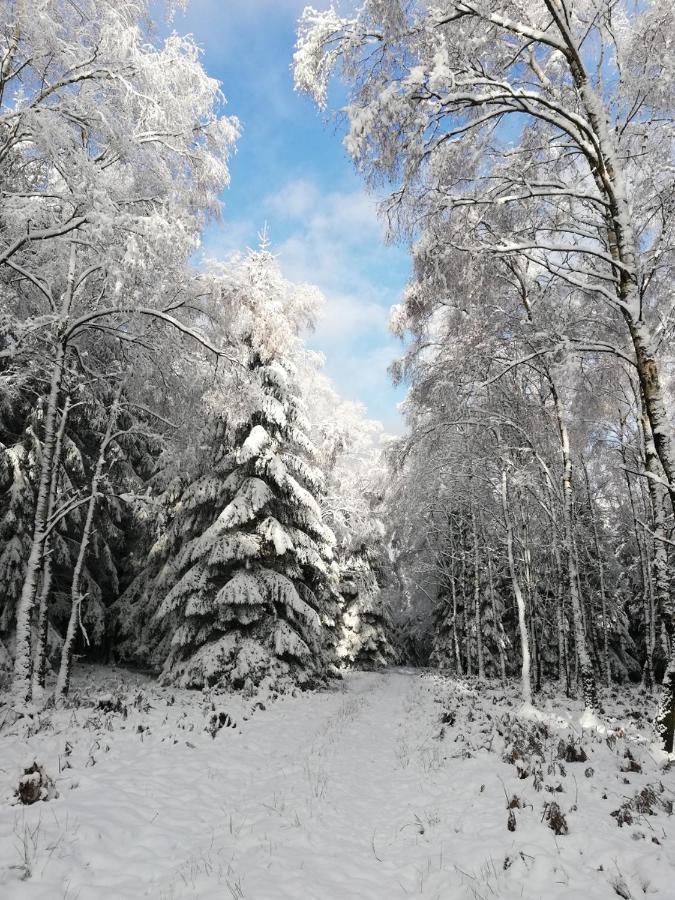 Chalet Du Praillage Спа Екстер'єр фото